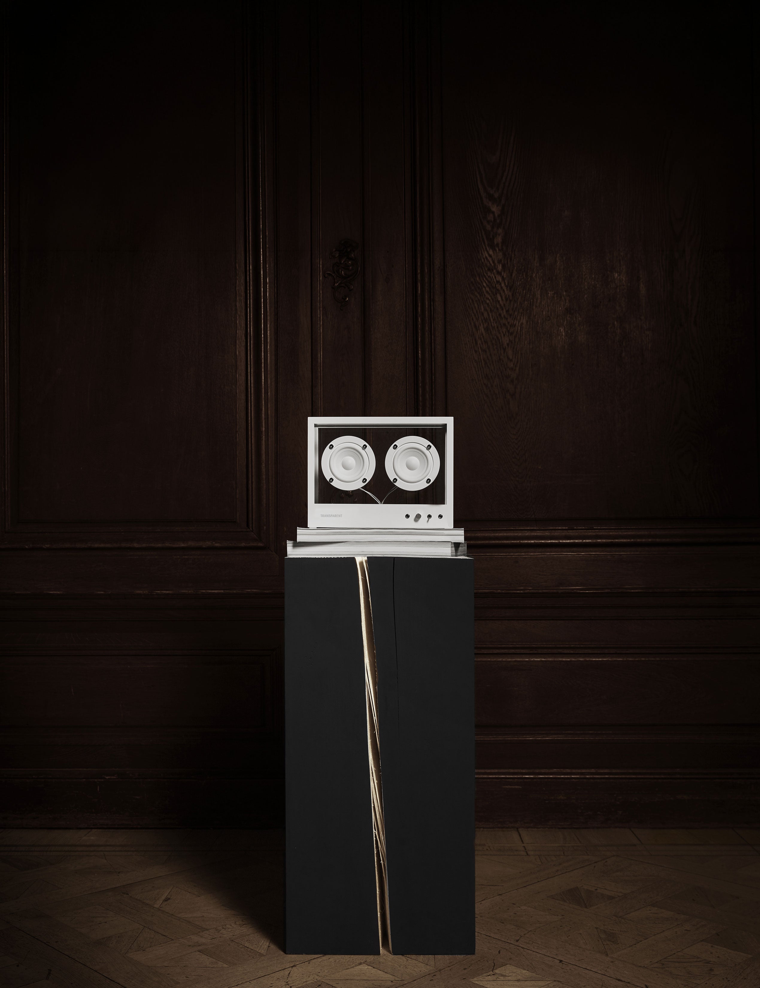 Small White Transparent Speaker